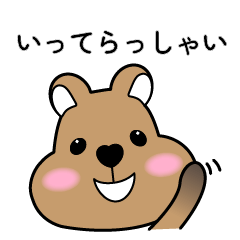 Pretty Quokka daily life - part1