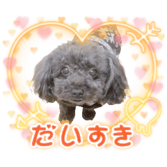 でいじーちょこび
