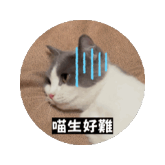 YUKI(^ー゜)