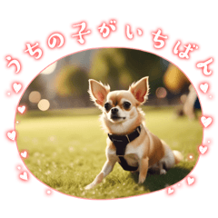 Cute Chihuahua Winter Greetings 01