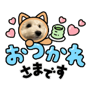 sakurakong_20240924150201
