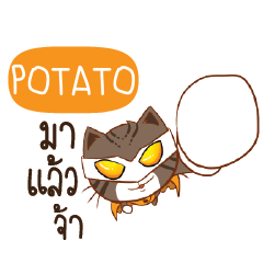 POTATO เปียกปูนแมน e