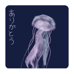 jellyfish  Life  style