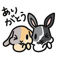 2rabbit_