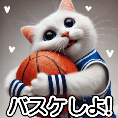 Basketball white cat