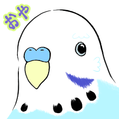 [bulu] Softly Empathetic Budgerigar2