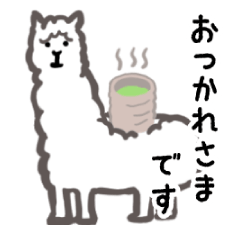 Courteous-alpaca