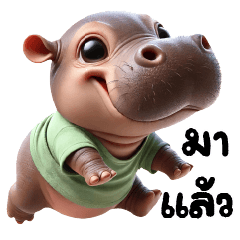 หมูหัน-ฮิปโปจิ๋วน่ารัก