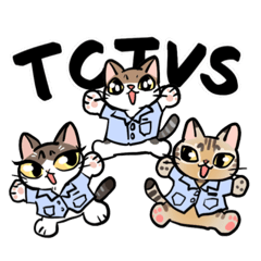 TCIVS School Cat_20240924185328