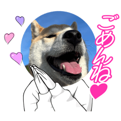 Momo-chan_20240924225512