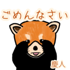 Yoshihito's lesser panda (2)