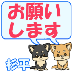 Sugihira's letters Chihuahua2