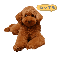 ARAN_20240925142655
