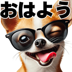 Chihuahua in glass (Japanese)