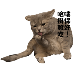 我還是睡覺最舒服
