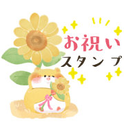 kurumushi congratulations