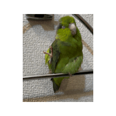 TAKUYA_20240925234510