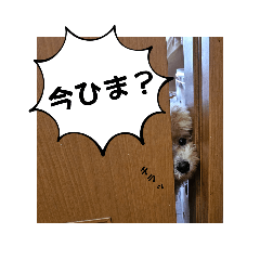 osugi_20240925200219
