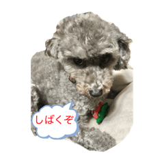 yuaya_20240925212439