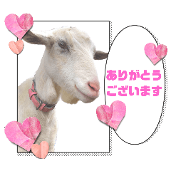 除草隊のかわいこちゃんすたんぴ♪