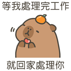 capy capybara14