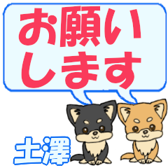 Dosawa's letters Chihuahua2