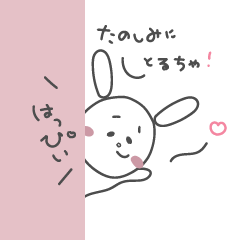 toyama rabbit