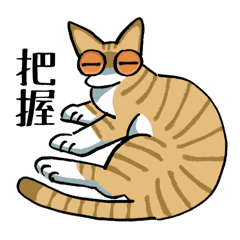 毎日使える猫(ギョロ猫)