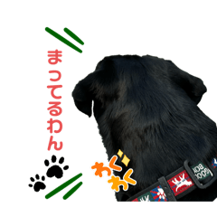 ayumiso_20240926112514