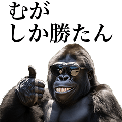 [Muga] Funny Gorilla stamps to send