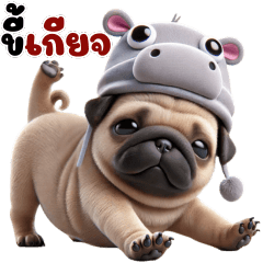 Cute little pug - hippo outfit