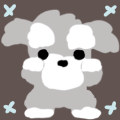 moving schnauzer schnauzer