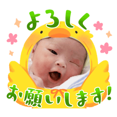 Casumi_20240926163411