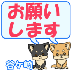 谷ケ崎「たにがさき」用でか文字チワワ２