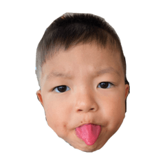 onegi_20240926212319