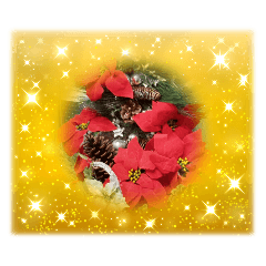 kayo_20240926183436