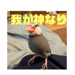 TORI_20240926212840