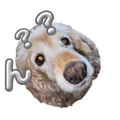 くきおだわん