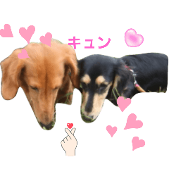 Chobitan_20240926180356