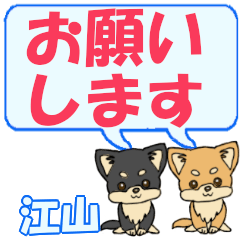 Eyama's letters Chihuahua2