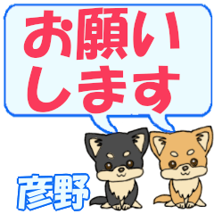 Hikono's letters Chihuahua2