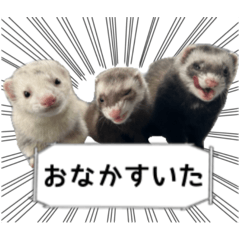 3本のイタチ - LINE スタンプ | LINE STORE