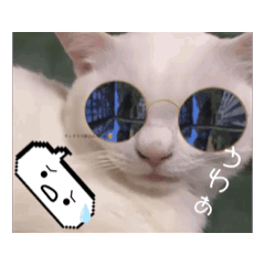 rrrrrrr_20240926221614