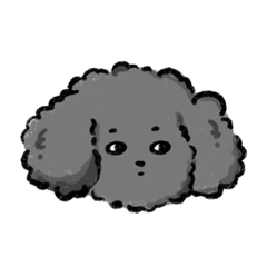 xin_20240927015053