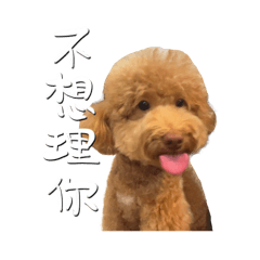 This is rice grain (daily)