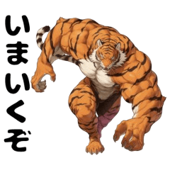 muscular tiger