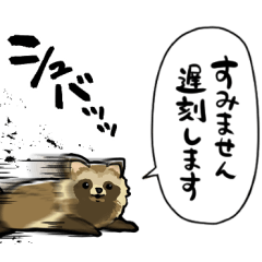 raccoon dog asking what you are doing