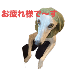 Ratty_20240927160504