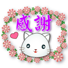 white cat- practical everyday stickers