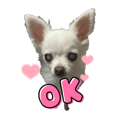 OchawaN_20240927200322